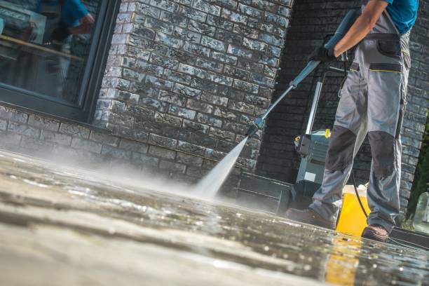 Best Dumpster Area Cleaning  in Desoto Lakes, FL