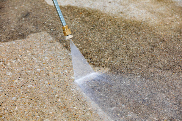 Best Roof Washing  in Desoto Lakes, FL