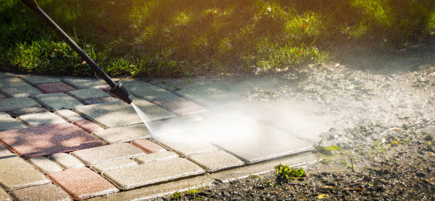 Best Gutter Cleaning  in Desoto Lakes, FL